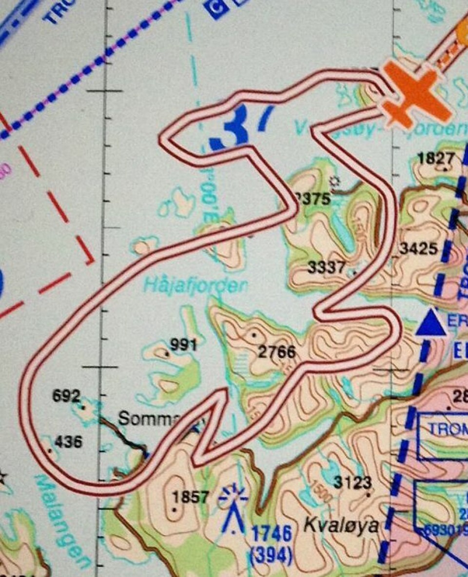 INGEN TVIL: Det er ikke vanskelig å se hvilket dyr dette er.