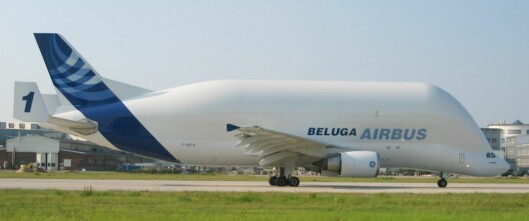 LASTEFLY: Beluga er forgjengeren til det nye fraktflyet Beluga XL. LASTEFLY: Beluga er forgjengeren til det nye fraktflyet Beluga XL.