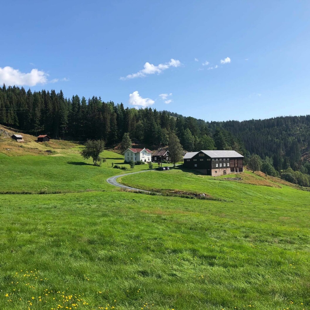 GÅRDSGUTT: Sudbø stortrives med å bo på gård, men selve gårdsdriften har han forpaktet bort. Foto: Privat. GÅRDSGUTT: Sudbø stortrives med å bo på gård, men selve gårdsdriften har han forpaktet bort. Foto: Privat.