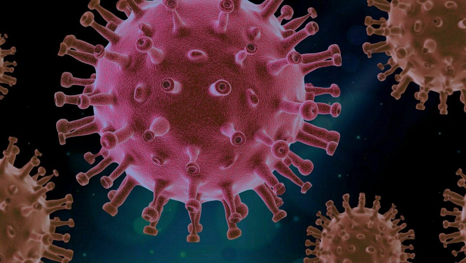 VIRUS: Korona-viruset har vendt samfunnet på hodet, flymiljøet inkludert.
