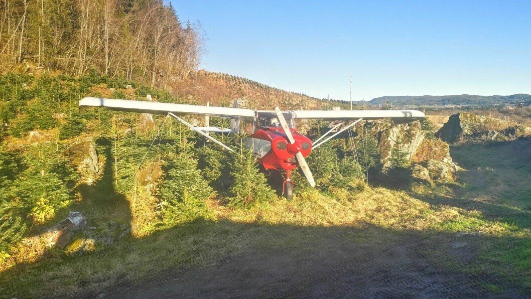 Ingen nødlanding, nei - men parkert blant smågran som et blikkfang for juletrefarmen.Foto: Brage Røkke Ingen nødlanding, nei - men parkert blant smågran som et blikkfang for juletrefarmen.Foto: Brage Røkke