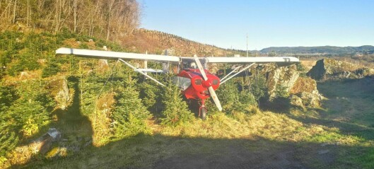 Flyet hang  i taket på Værnes - nå er det trekkplaster på et juletreutsalg