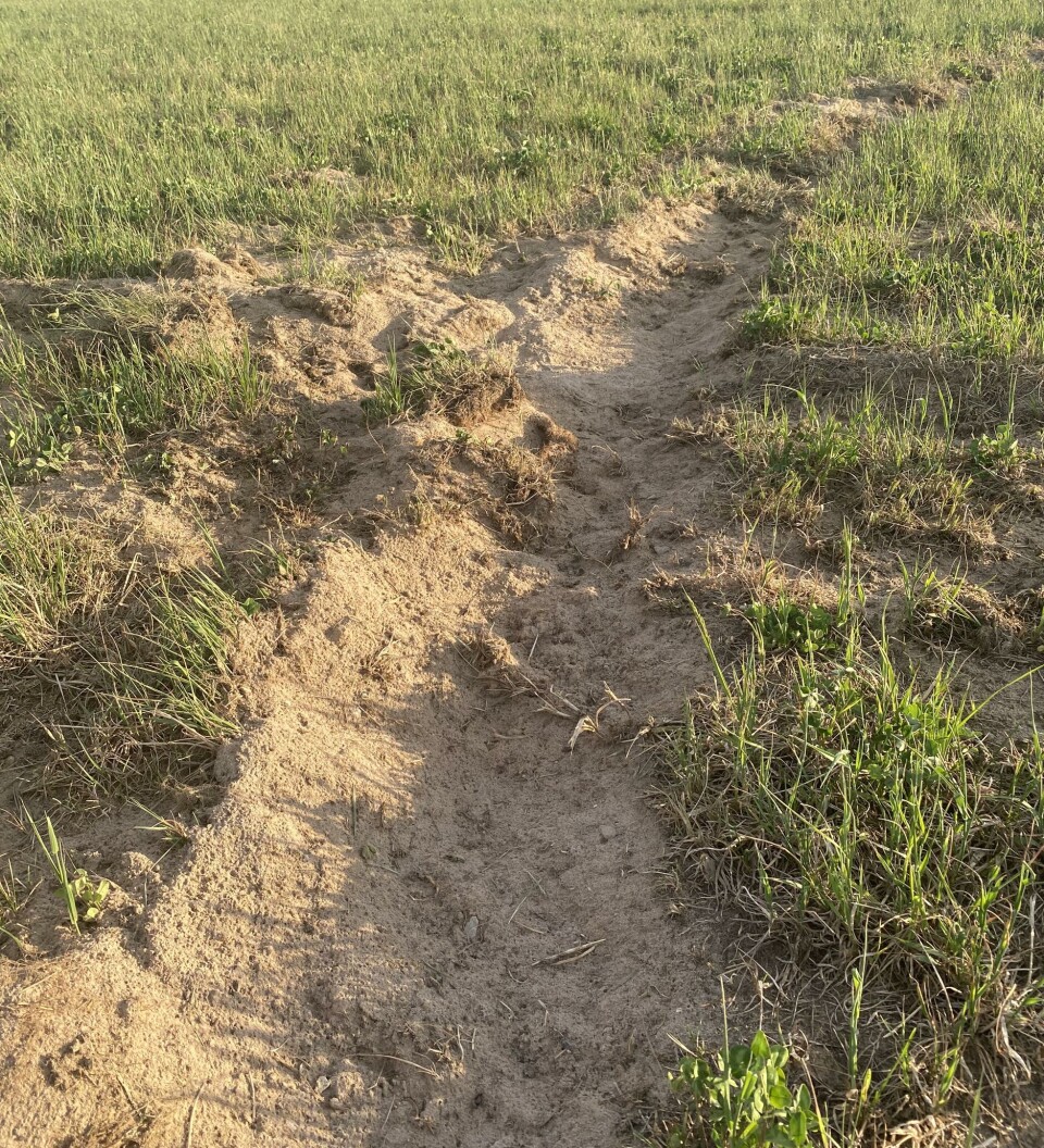 FARLIG: Vandalisme som dette kan i verste fall gi store og alvorlige skader på både piloter og fly.